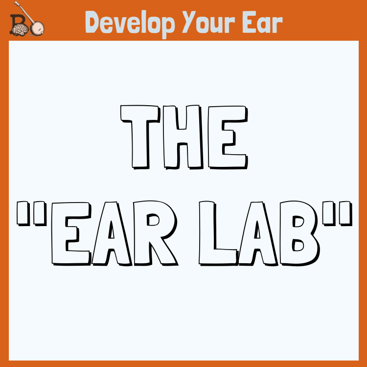 The Ear Lab